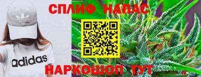 apvp Нарткала