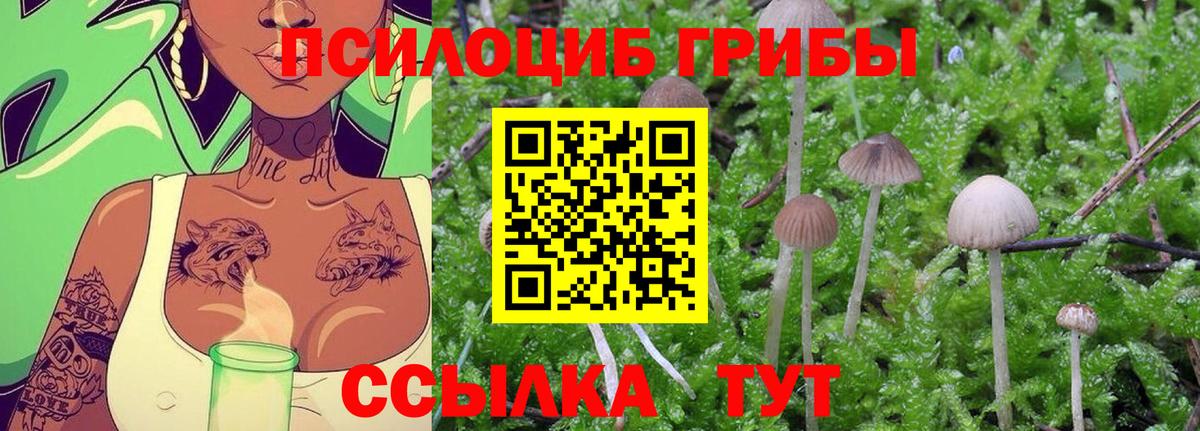Псилоцибиновые грибы MAGIC MUSHROOMS  где продают наркотики  Тольятти  Вход с VPN  Галлюциногенные грибы мицелий 