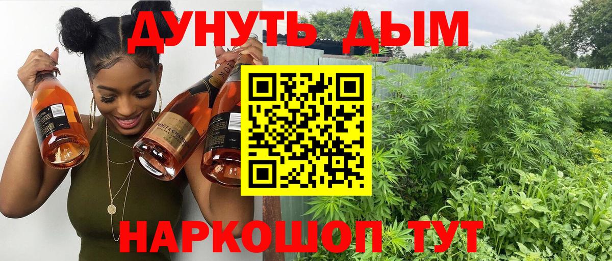 Тольятти  Канабис семена  Канабис индика  Конопля VHQ  Вход с VPN 